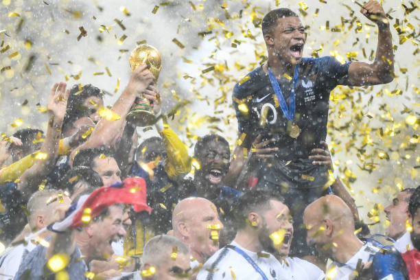 其他球星形 其他球星形