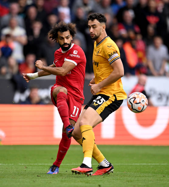 供了出色的 供了出色的