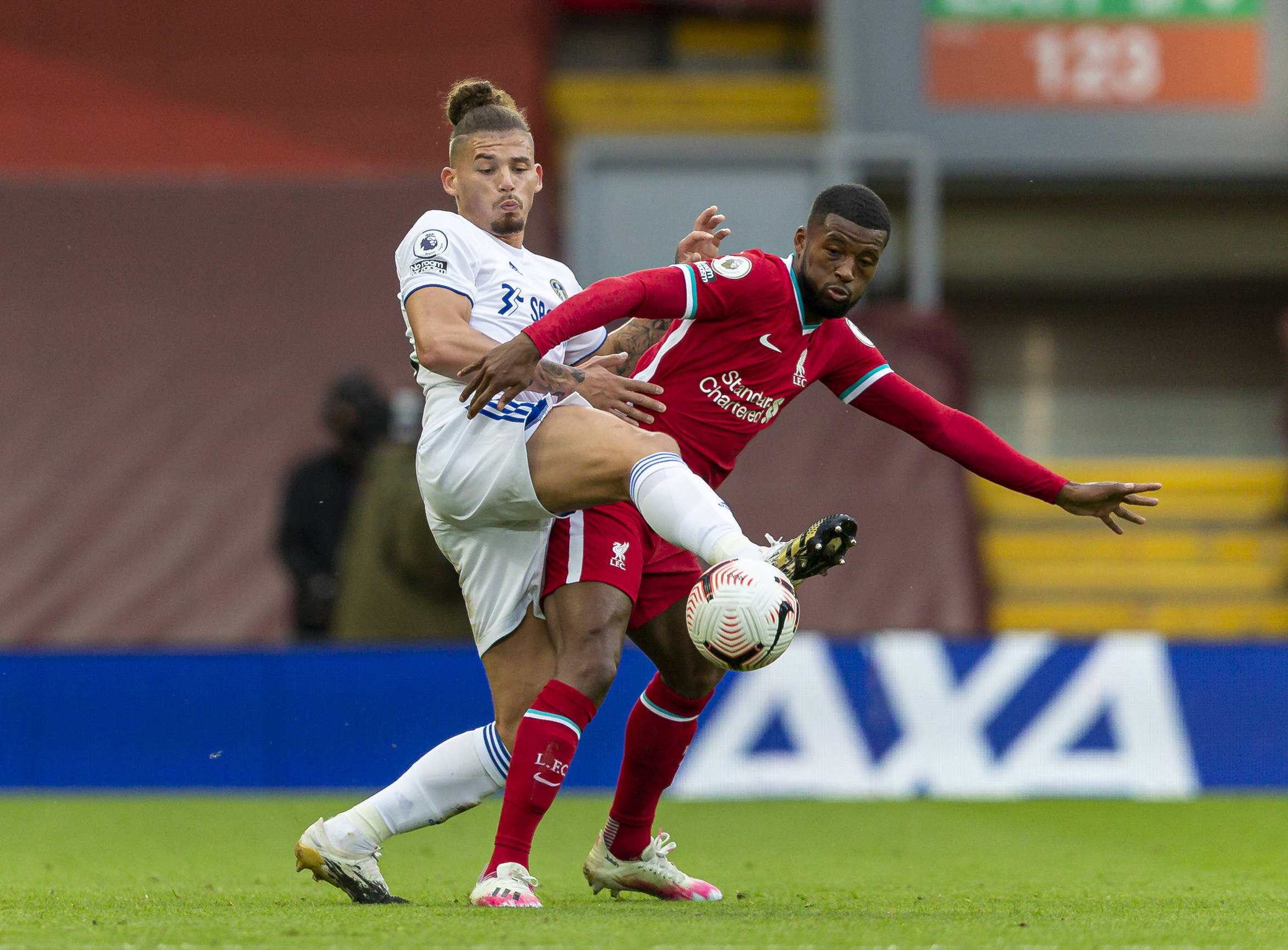 森林狼主帅 森林狼主帅